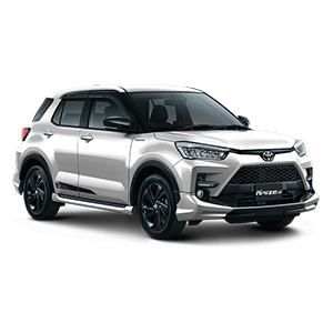 Alternative view of New Raize